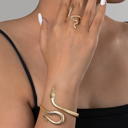 Snake Shaped Ring & Bracelet Set